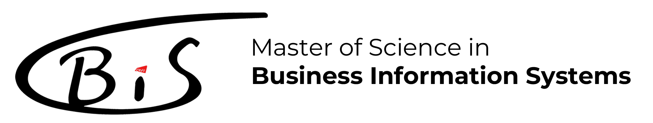 Master of Science in Business Information Systems